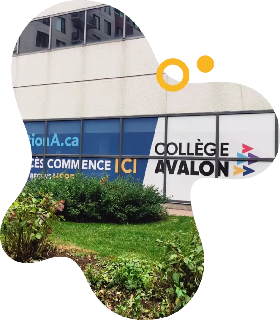 About-us-Featured-image-2-College-Avalon-897x1024